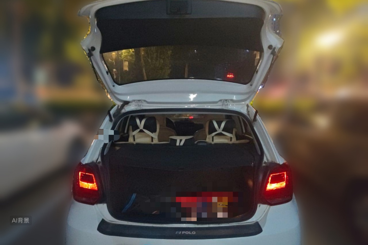 Volkswagen Polo 2016 car image #21