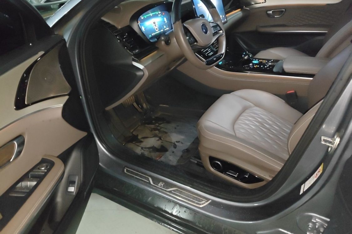 BYD Han 2024 #23 BYD Han 2024 immagine di auto #23