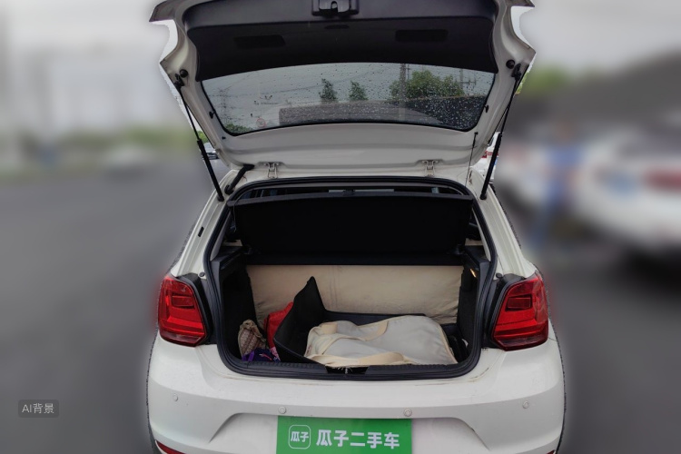 Volkswagen Polo 2014 car image #21