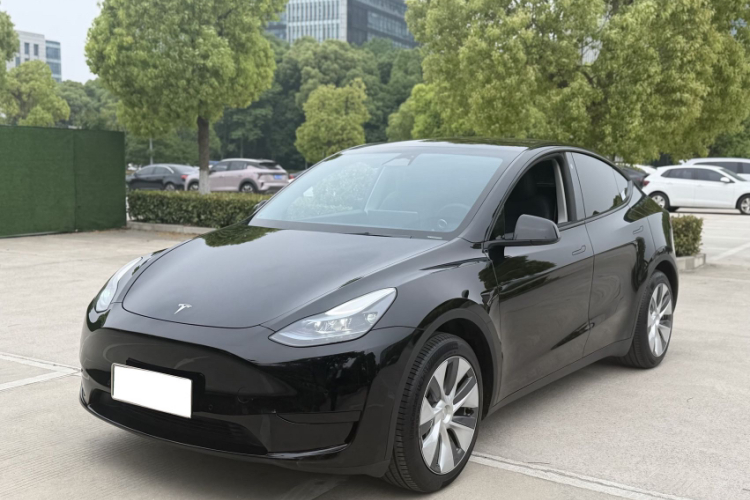 Tesla Model Y 2023 car image #2