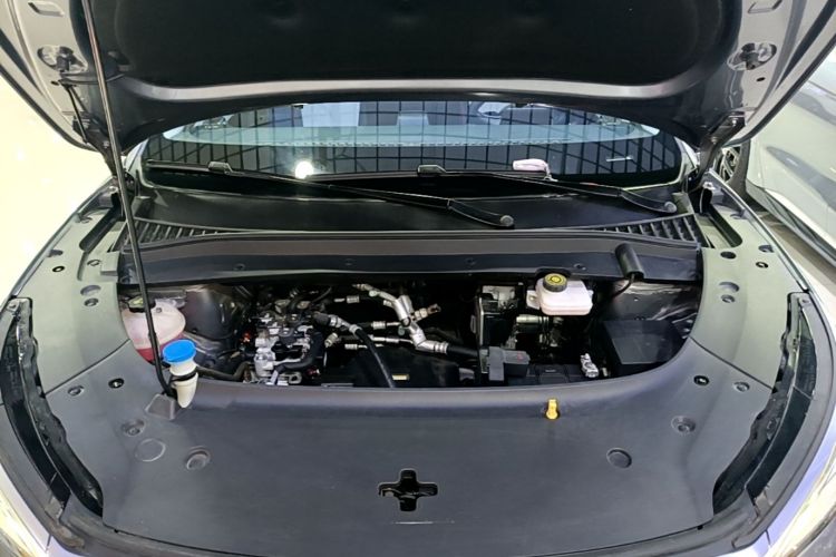 BYD Yuan Plus 2022 car image #24