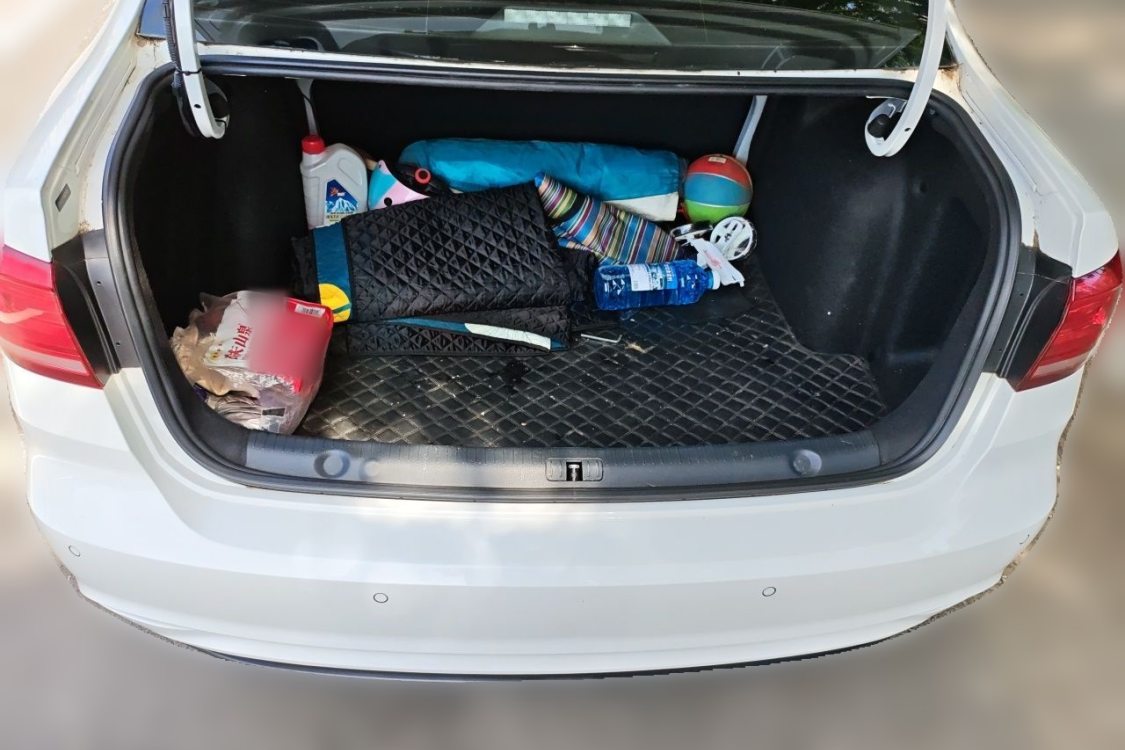 Volkswagen Lavida 2021 car image #8
