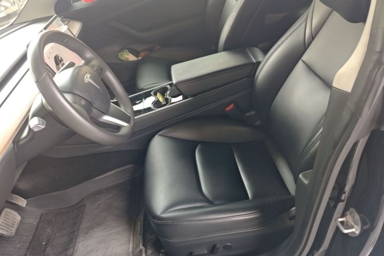 Tesla Model 3 2020 car image #19