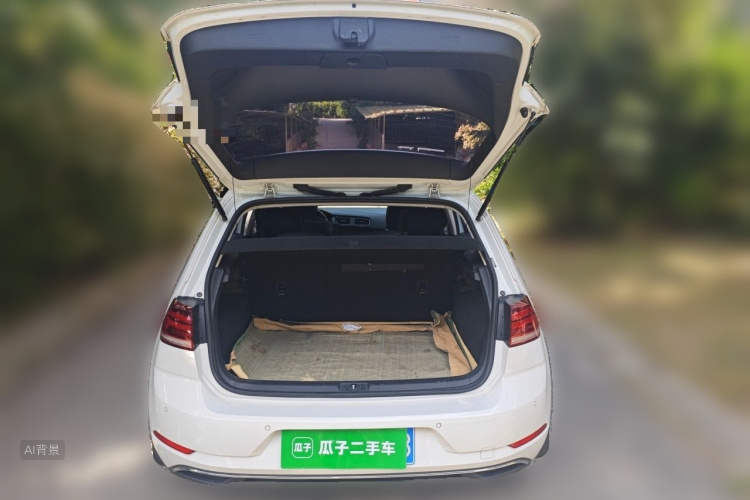 Volkswagen Golf 2019 car image #21
