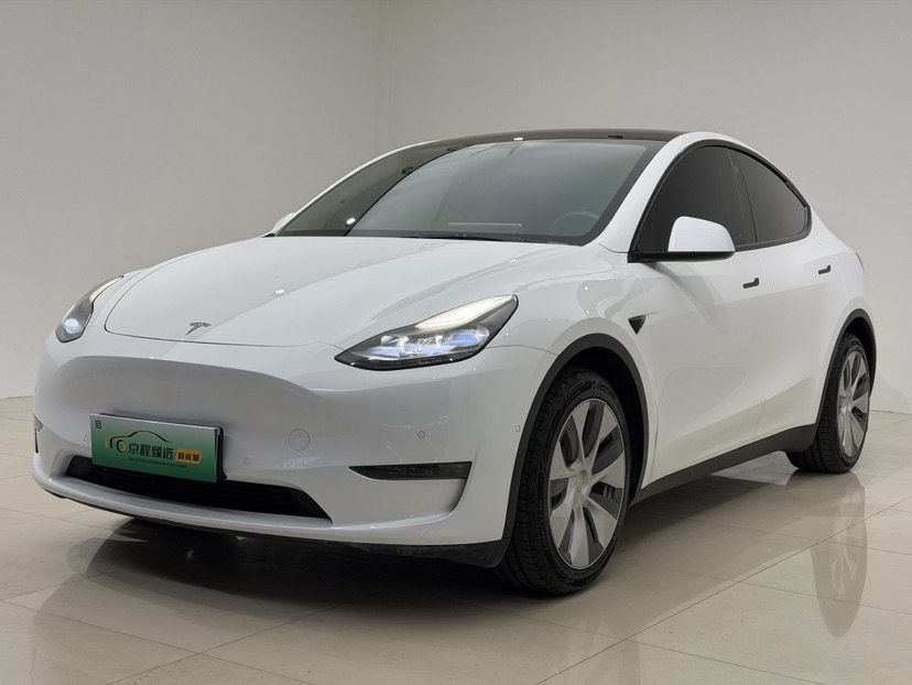 Tesla Model Y 2021 car image 