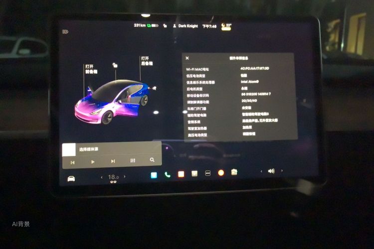 Tesla Model 3 2021 imagem de carro #15