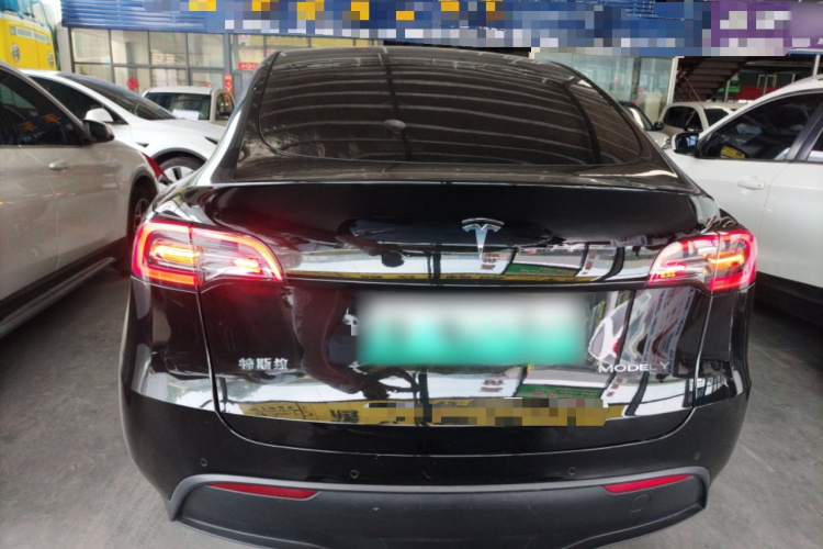 Tesla Model Y 2023 car image #6