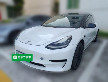 Tesla Model 3 2020 Tesla Model 3 2020 car image