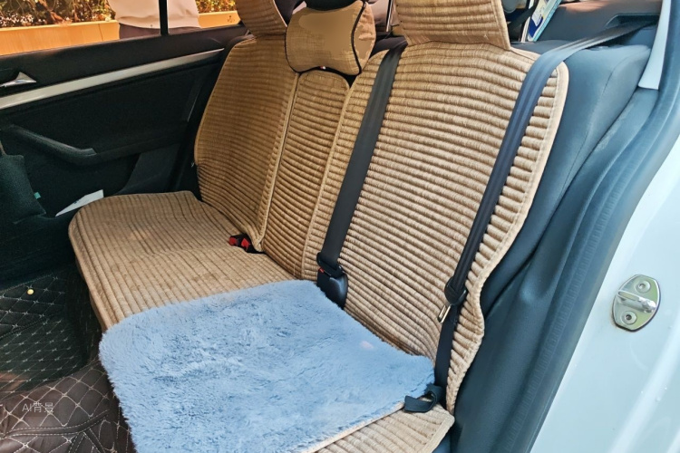 Volkswagen Lavida 2020 car image #19