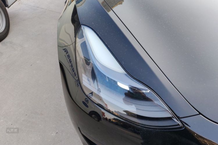 Tesla Model 3 2021 #8 Tesla Model 3 2021 car image #8