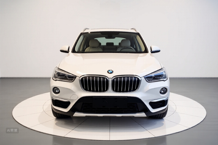 BMW X1 2017 car image #3