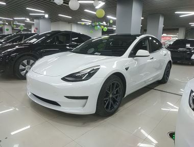 Tesla Model 3 2021 car image 