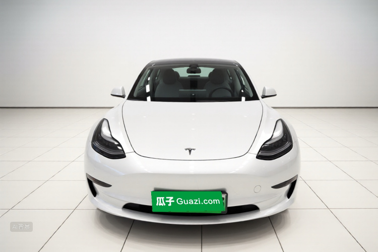 Tesla Model 3 2021 car image #3