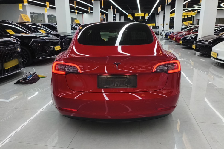 Tesla Model 3 2020 #6 Tesla Model 3 2020 car image #6