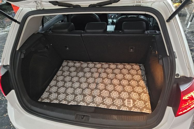 Volkswagen Golf 2016 car image #21