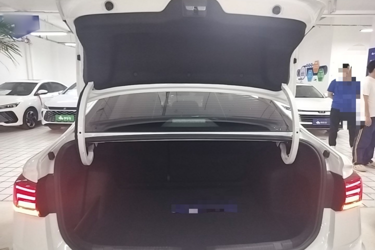 Volkswagen Bora 2020 car image #19