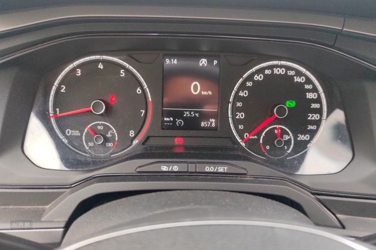 Volkswagen Polo 2020 car image #13
