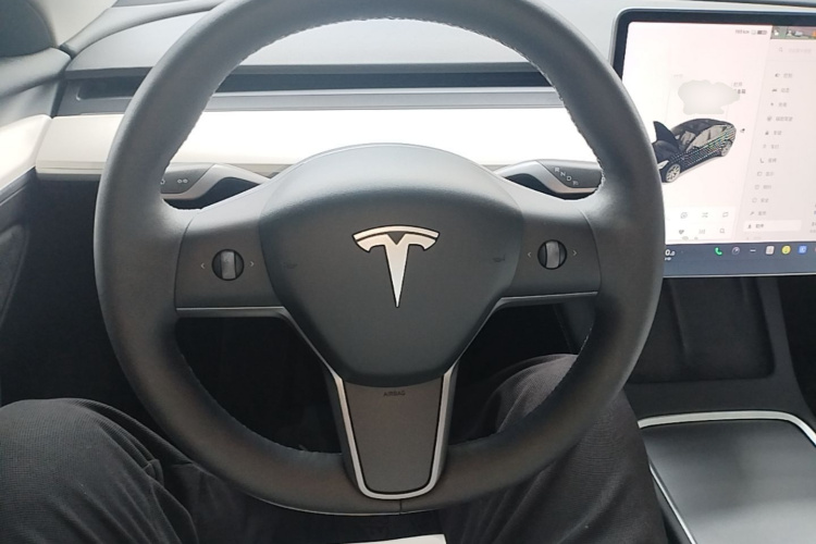 Tesla Model 3 2021 #11 Tesla Model 3 2021 immagine di auto #11