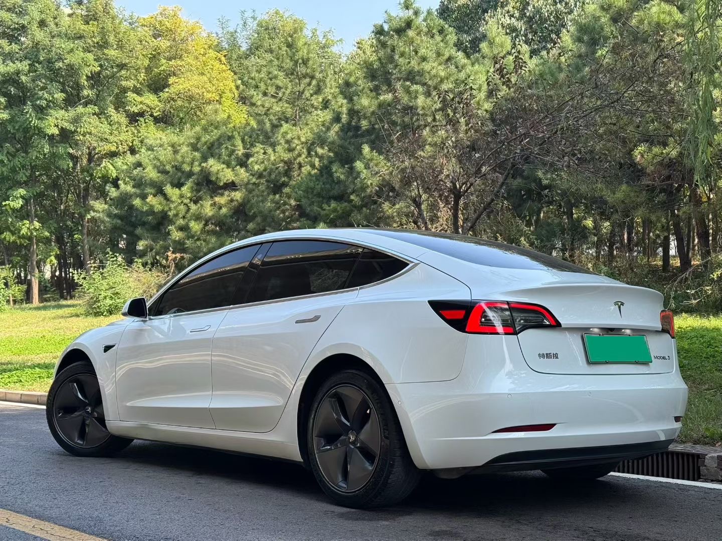 Tesla Model 3 2020 #4 Tesla Model 3 2020 car image #4