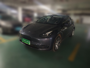 Tesla Model Y 2021 car image 