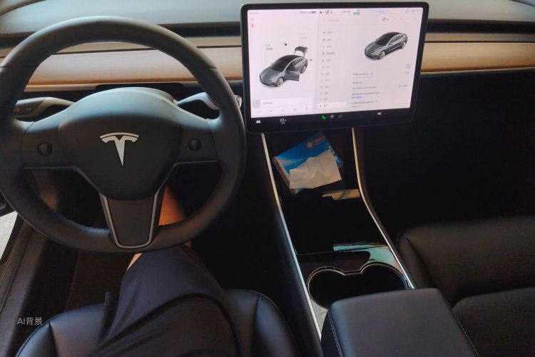 Tesla Model 3 2020 #15 Tesla Model 3 2020 car image #15
