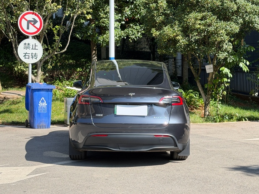 Tesla Model Y 2024 immagine di auto #9