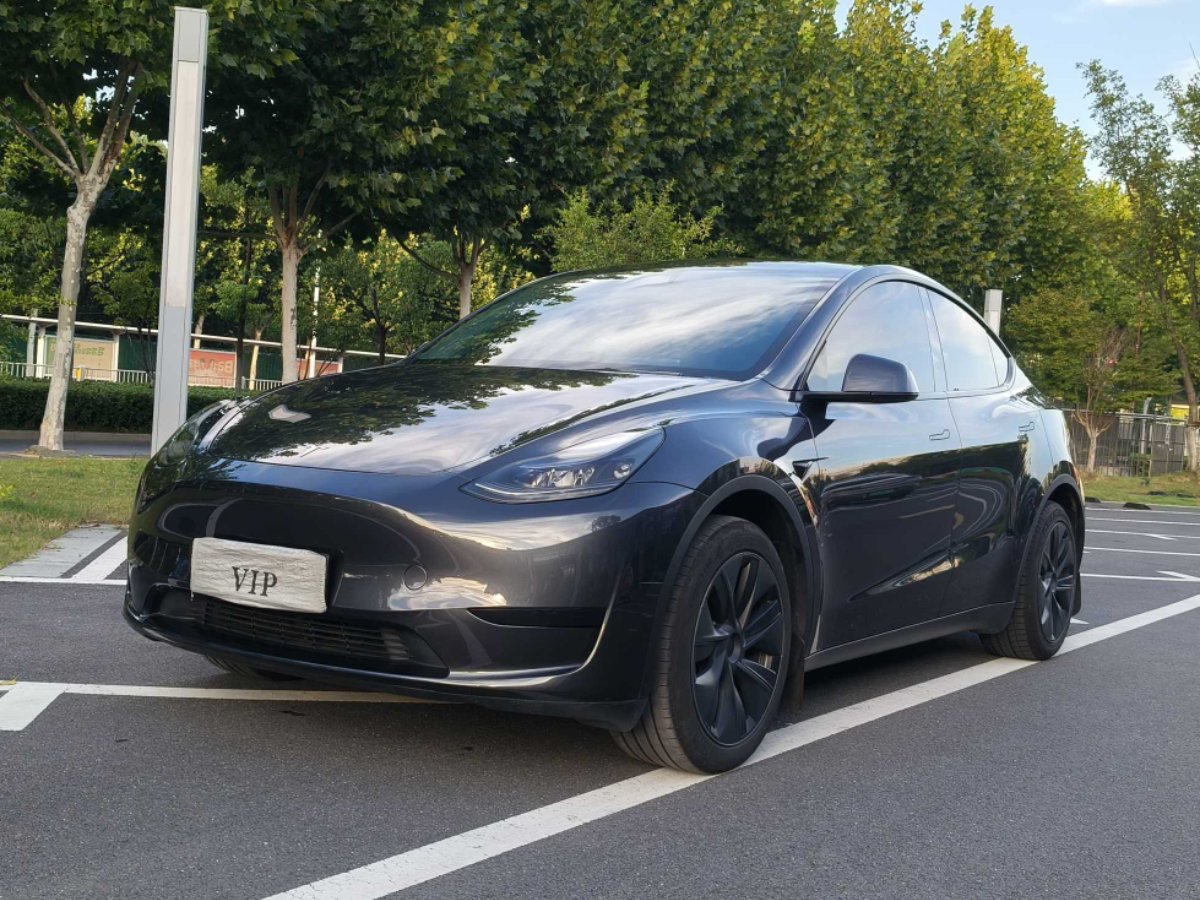 Tesla Model Y 2024 car image 