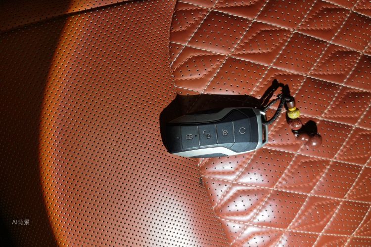 BYD Han 2020 #10 BYD Han 2020 immagine di auto #10