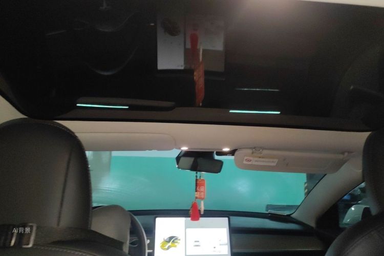 Tesla Model 3 2020 car image #20