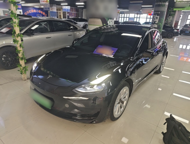 Tesla Model 3 2021 Tesla Model 3 2021 car image