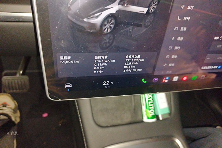 Tesla Model Y 2022 صورة سيارة #14
