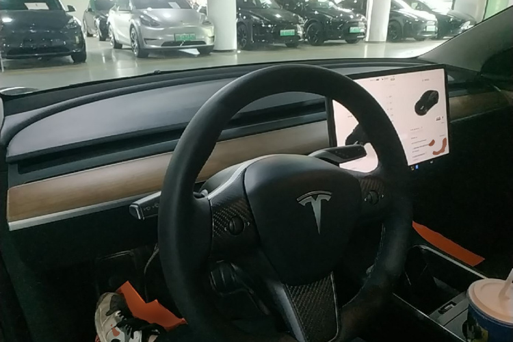 Tesla Model 3 2022 #10 Tesla Model 3 2022 car image #10