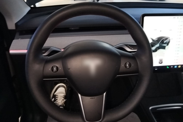 Tesla Model Y 2024 car image #11