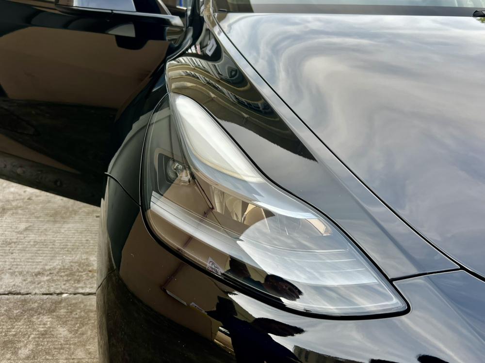 Tesla Model Y 2023 #11 Tesla Model Y 2023 car image #11