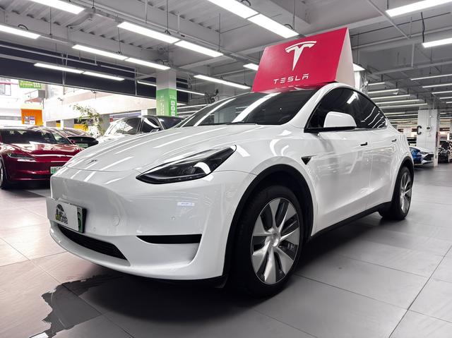 Tesla Model Y 2022 car image #15