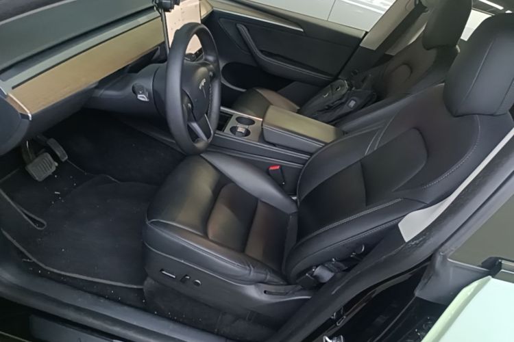Tesla Model Y 2021 car image #16