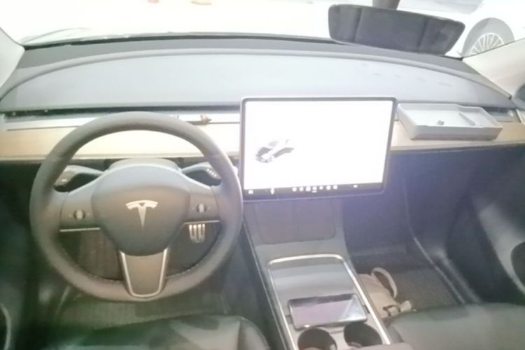 Tesla Model Y 2021 car image #10