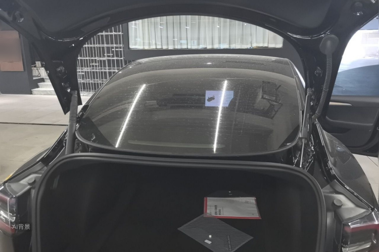 Tesla Model 3 2021 #21 Tesla Model 3 2021 car image #21
