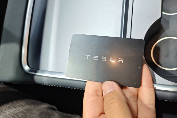 Tesla Model 3 2022 car image #14