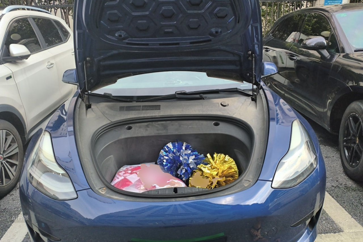 Tesla Model 3 2021 car image #22