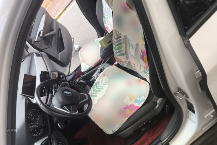 BMW X1 2018 car image #17