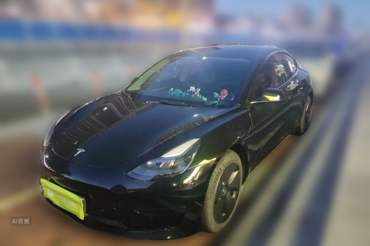 Tesla Model 3 2022 #2 Tesla Model 3 2022 car image #2