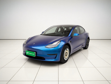Tesla Model 3 2020 immagine di auto 