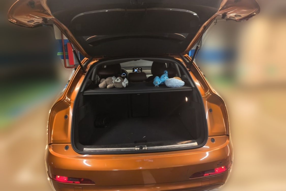 Audi Q3 2016 car image #8