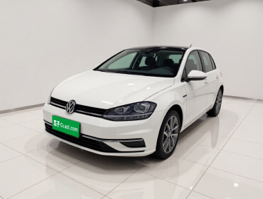 Volkswagen Golf 2019 Volkswagen Golf 2019 car image