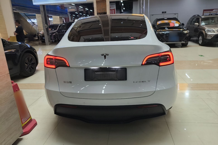Tesla Model Y 2023 car image #6