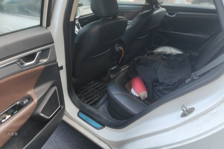 GEELY Emgrand GL 2018 car image #19