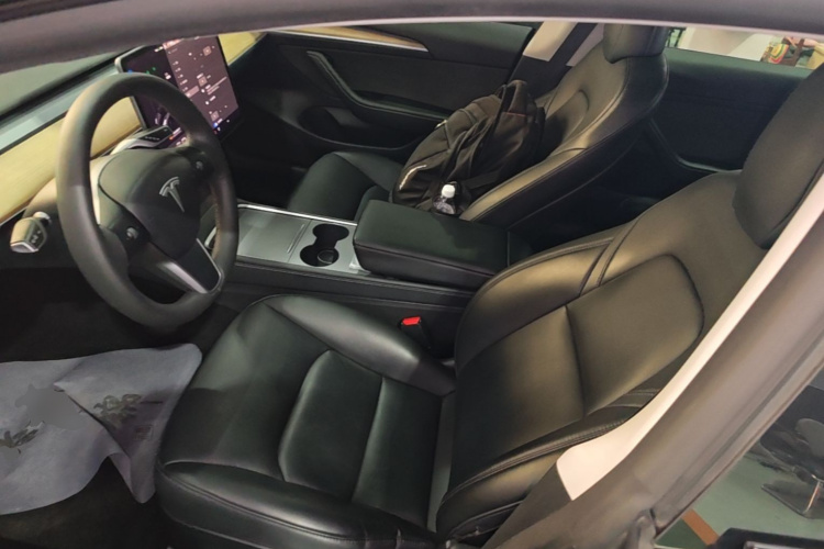 Tesla Model 3 2021 immagine di auto #15