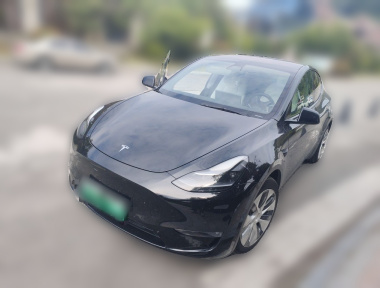 Tesla Model Y 2021 Tesla Model Y 2021 car image