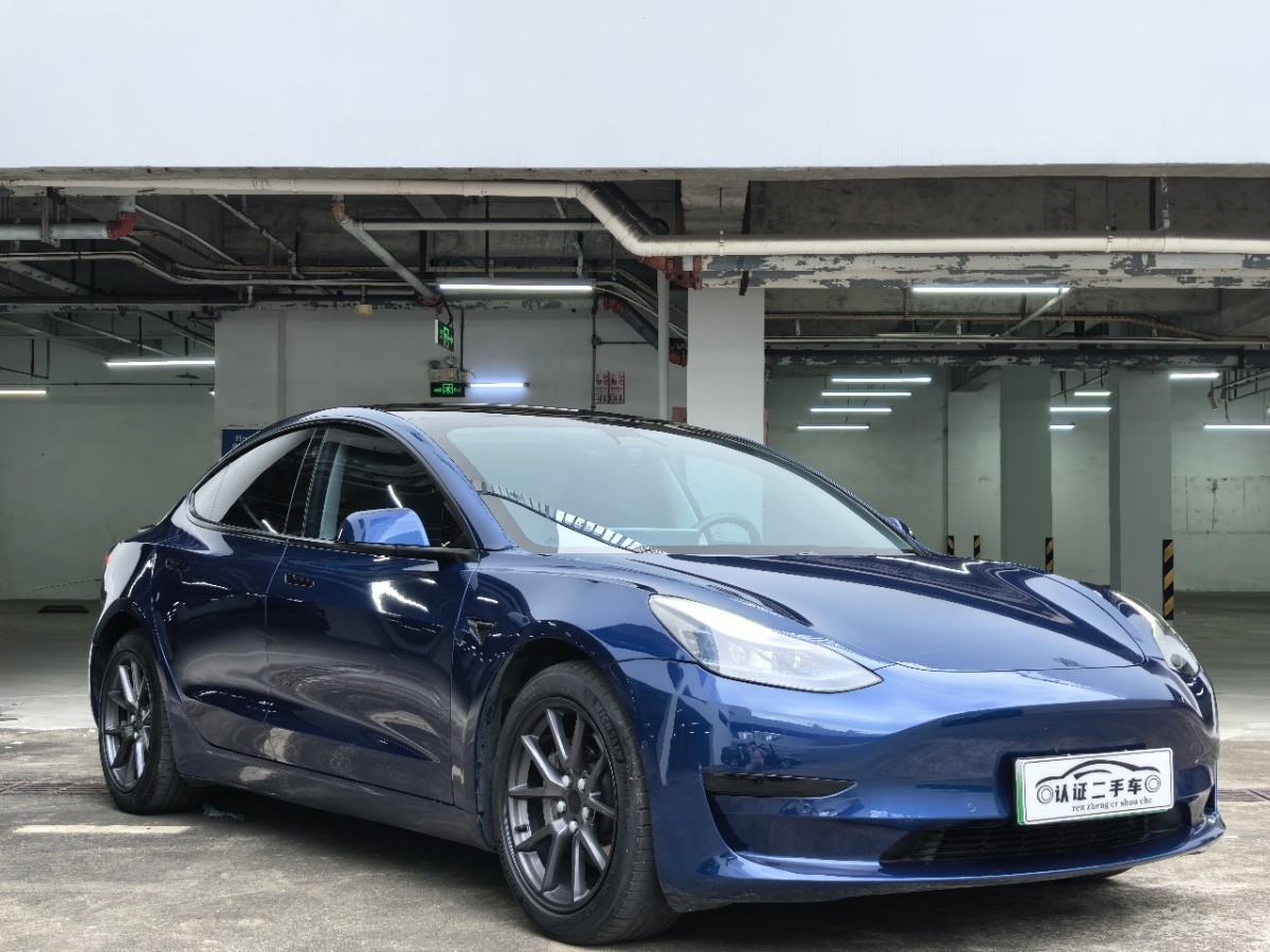 Tesla Model 3 2021 car image #3
